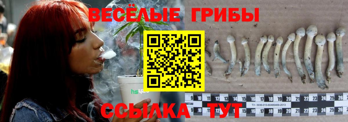 Псилоцибиновые грибы прущие грибы  Вход с VPN  Жуковский 